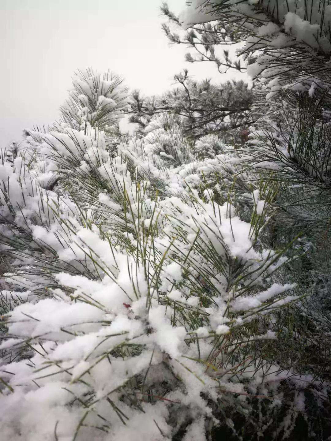 雪花纷飞飘进商山落水（图15）