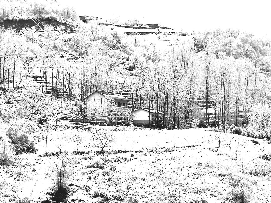 雪花纷飞飘进商山落水（图16）