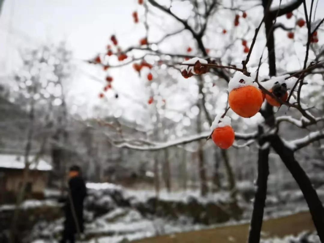 雪花纷飞飘进商山落水（图20）