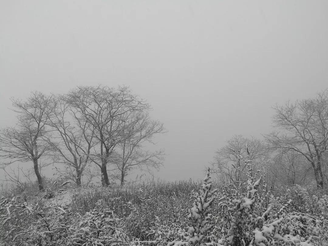 雪花纷飞飘进商山落水（图21）