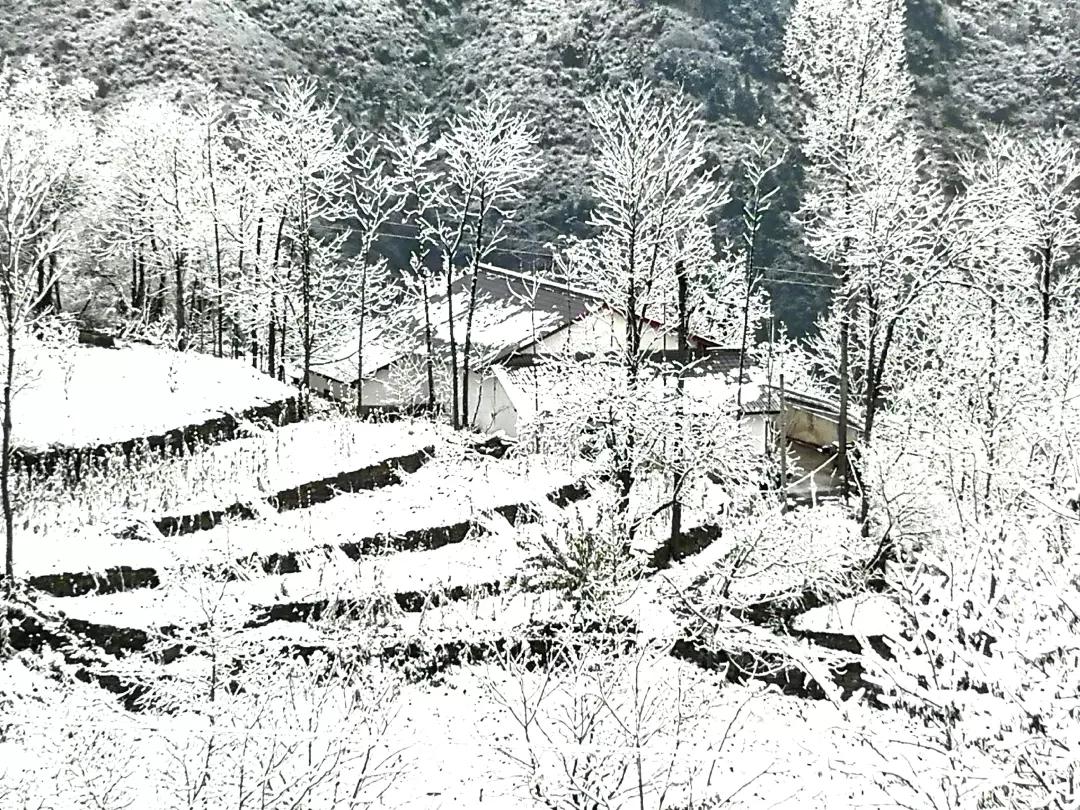 雪花纷飞飘进商山落水（图22）