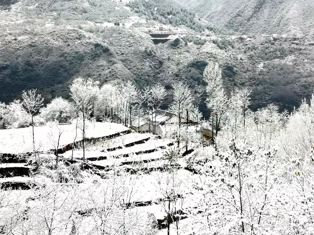 雪花纷飞飘进商山落水（图23）