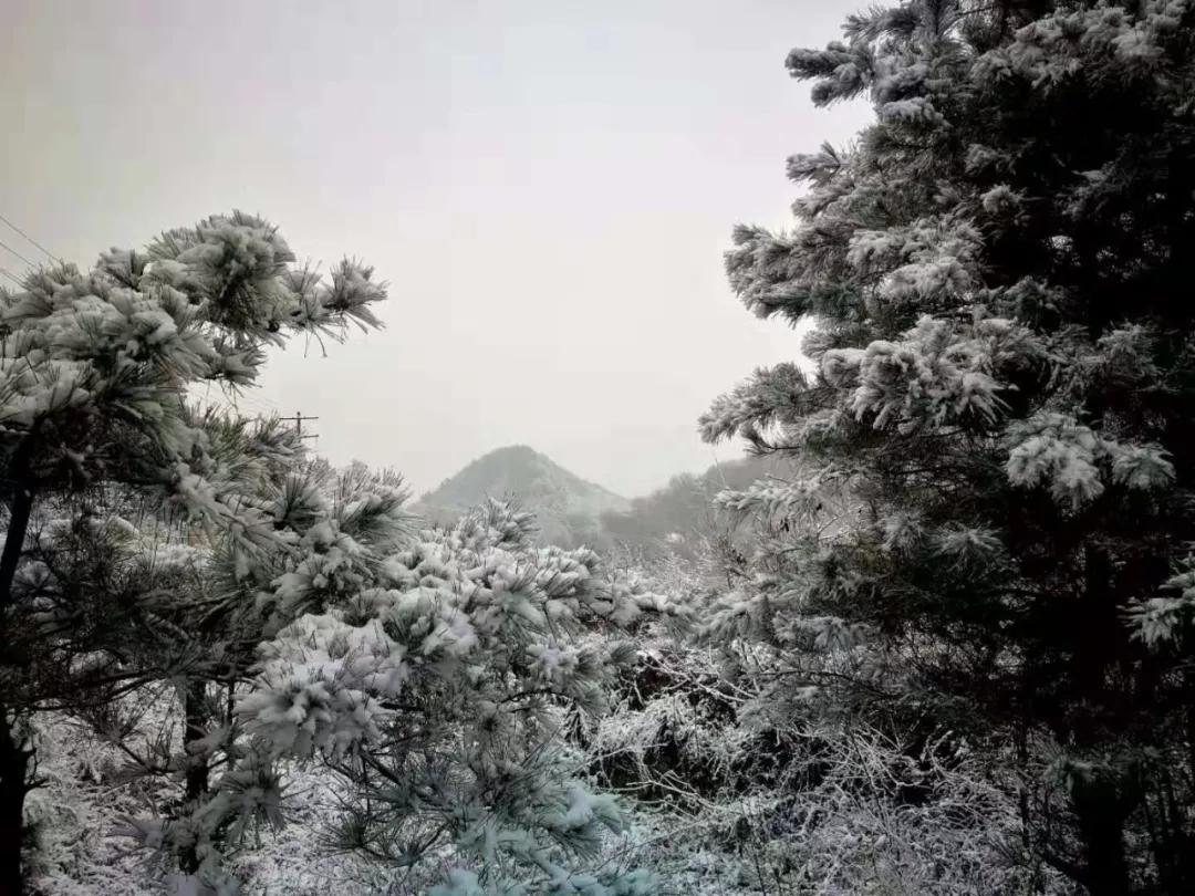 雪花纷飞飘进商山落水（图25）