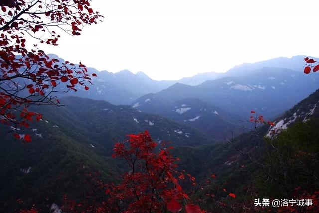 洛宁八大山 山山有神仙(图3)