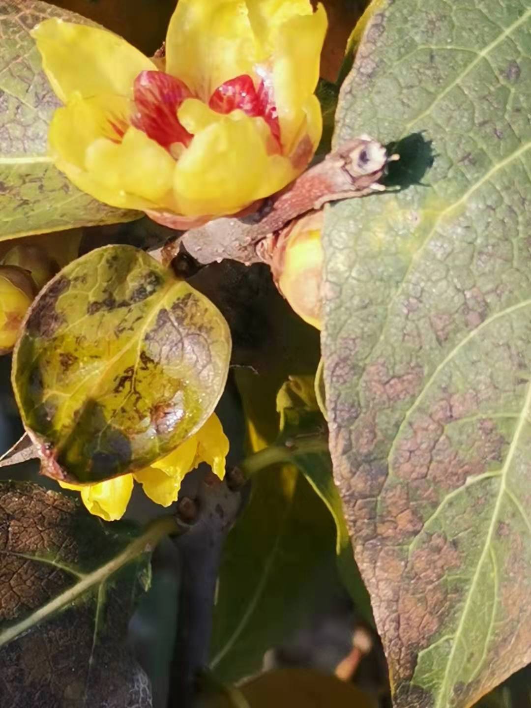 寰俊鍥剧墖_20191227204525.jpg