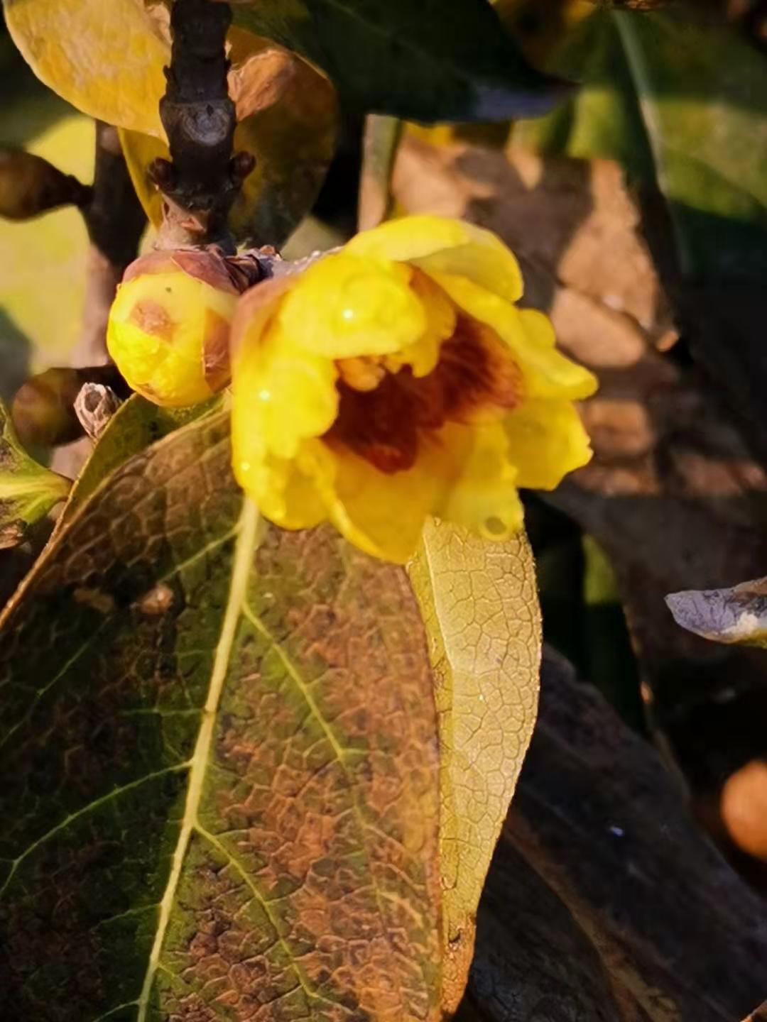寰俊鍥剧墖_20191227204551.jpg