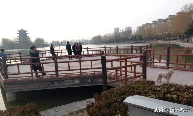 河南洛宁张便玲——重游永宁湖有感
