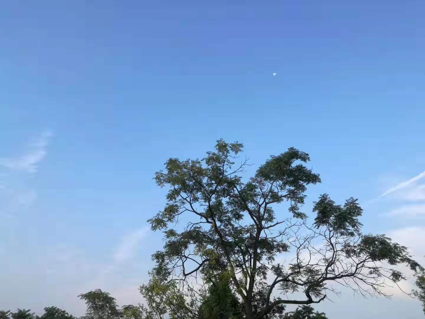 寰俊鍥剧墖_20200112093132.jpg