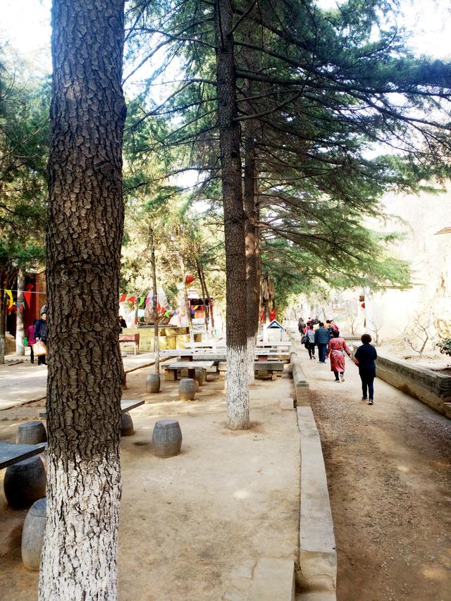 洛阳金村金龙寺景区春节文化游园会暨第六届梅花节发布会召开(图23)