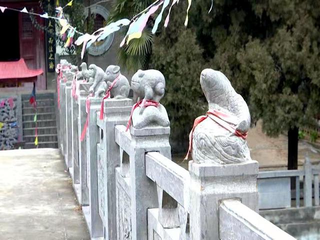 洛阳金村金龙寺景区春节文化游园会暨第六届梅花节发布会召开(图26)