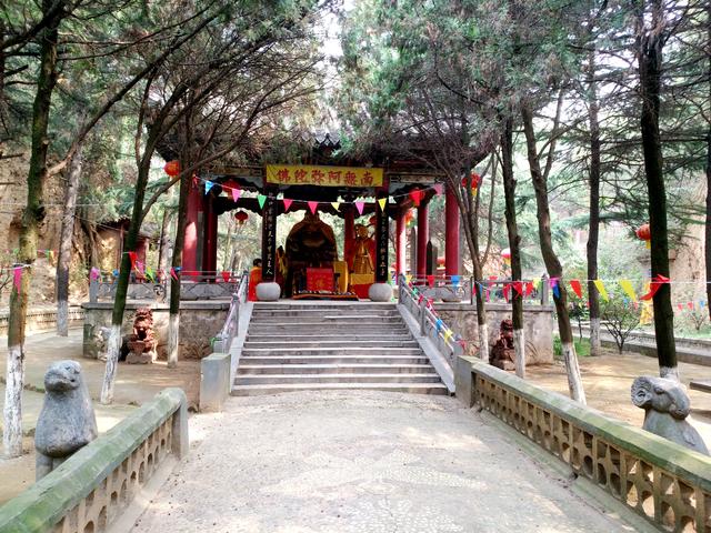洛阳金村金龙寺景区春节文化游园会暨第六届梅花节发布会召开(图28)
