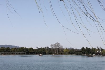 张 军:听 风