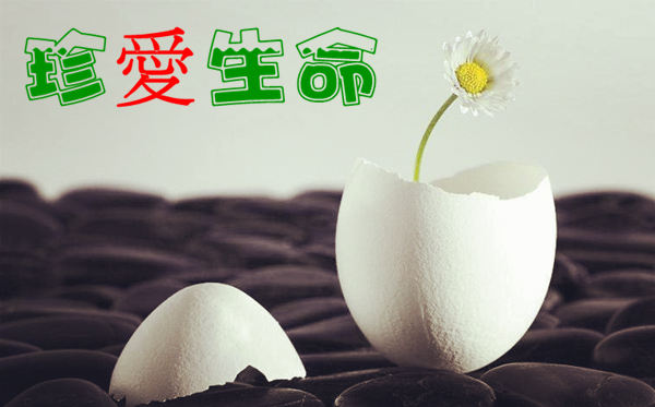 路小曼：​珍 爱