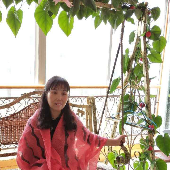 鍥剧墖10.png
