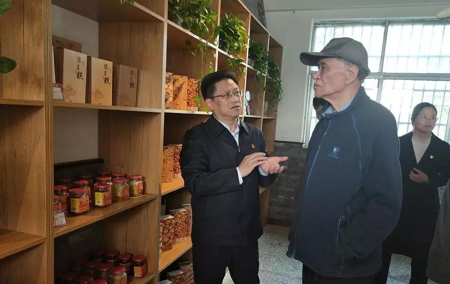 河南开封乡村振兴这一年（图7）