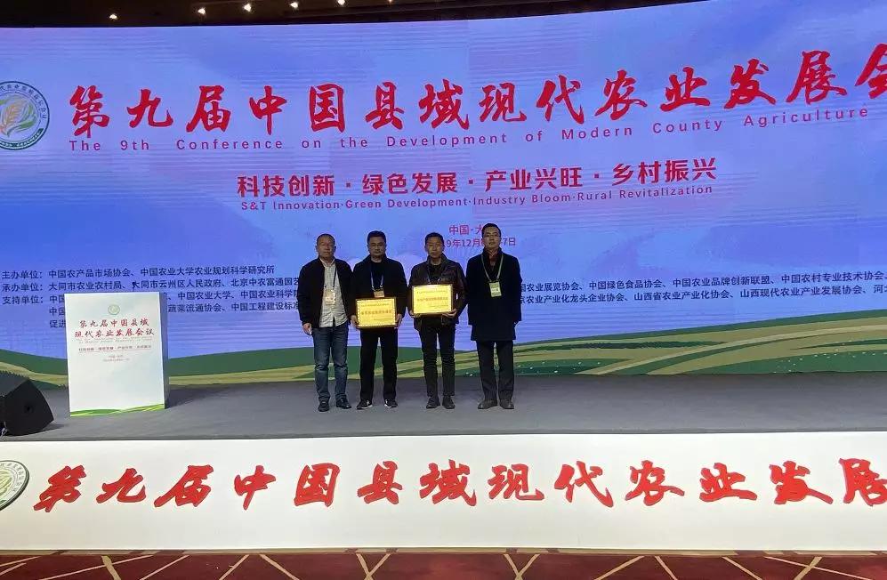 河南开封乡村振兴这一年（图11）