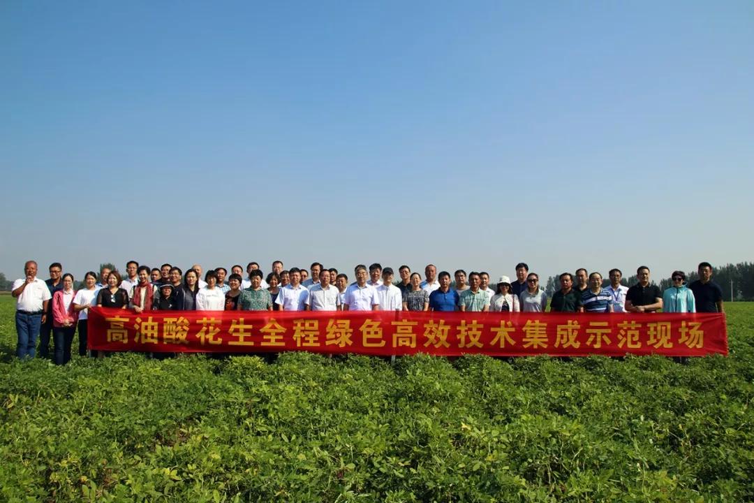 河南开封乡村振兴这一年（图14）