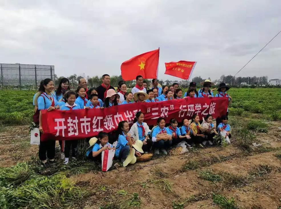 河南开封乡村振兴这一年（图15）