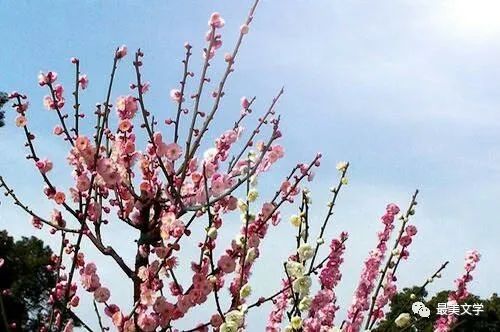 白景添: 巜同舟共济战疫魔》外四首（图4）
