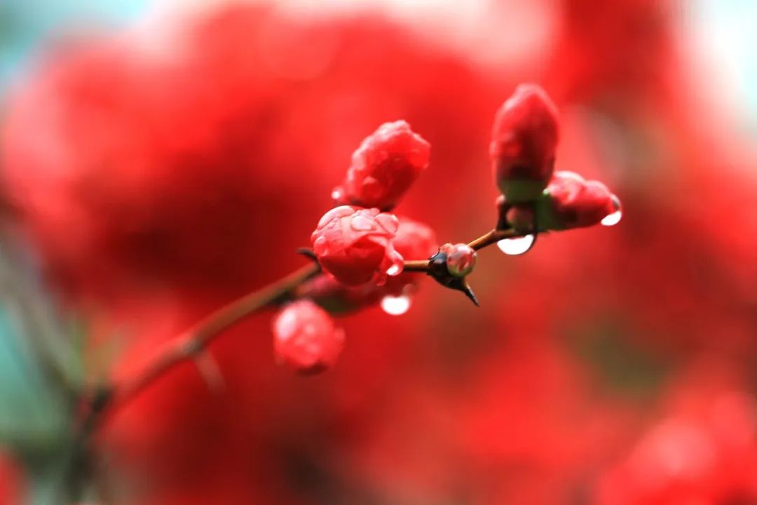 诗歌朗诵《英雄的定义》作者/海潮 朗诵/柳依(图6)