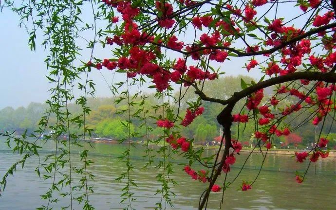 诗歌朗诵《英雄的定义》作者/海潮 朗诵/柳依(图9)