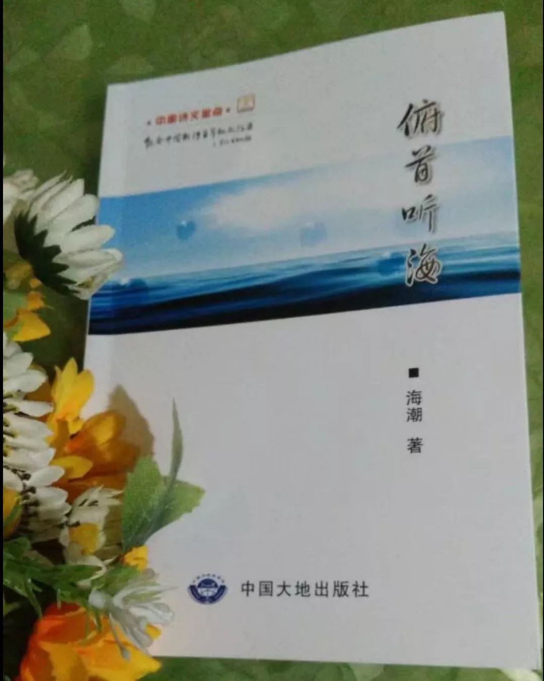 诗歌朗诵《英雄的定义》作者/海潮 朗诵/柳依（图11）