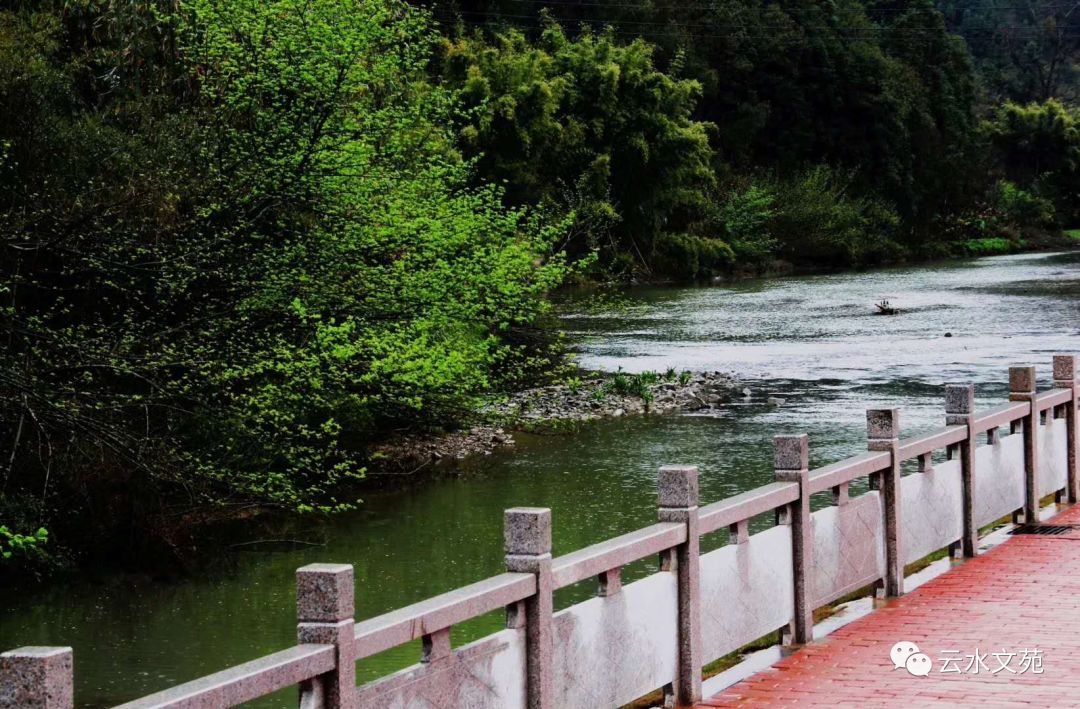 【云水文苑】万里河山气象新｜云水诗社元月同题咏（图8）