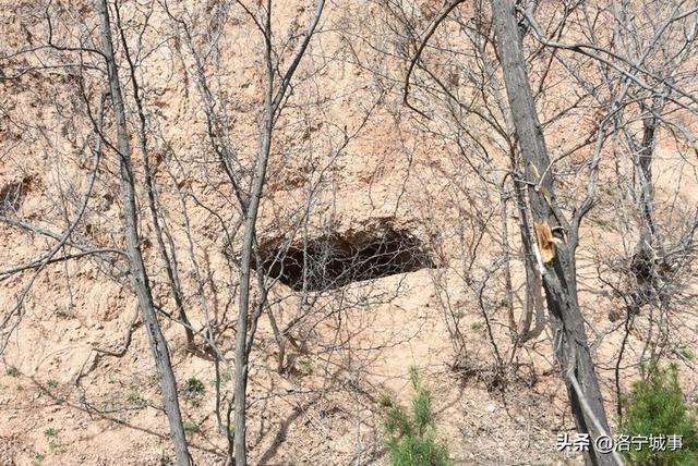 洛宁雷冰:探访狮山寨(图23)
