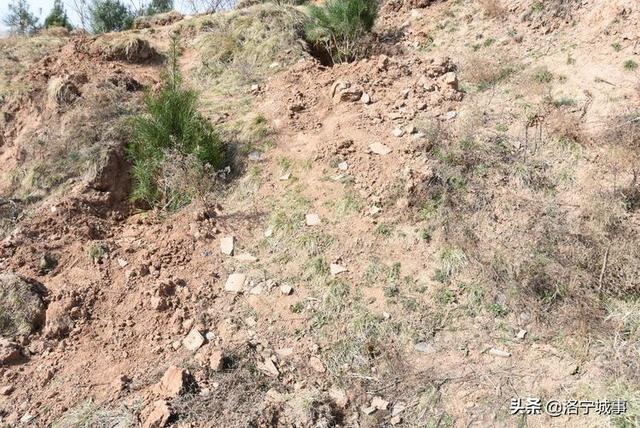 洛宁雷冰:探访狮山寨(图24)