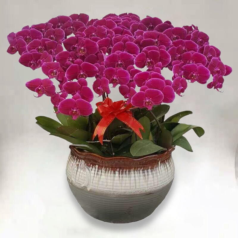 白景添: 三月桂花泡春茶(外四首)(图3)