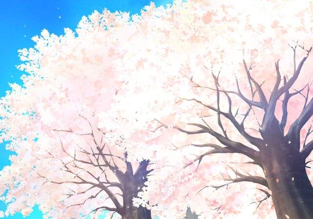 肖琼:樱花盛开的地方(图5)