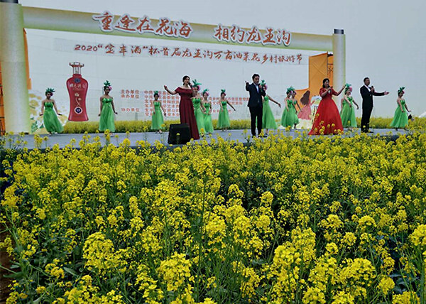 宝丰县首届“万亩油菜花乡村旅游节”盛大开幕