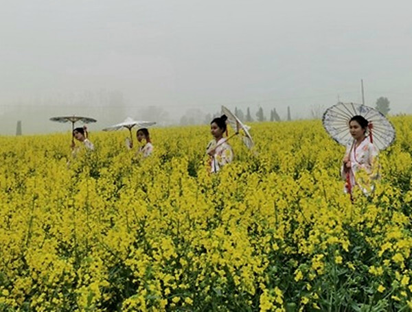 宝丰县首届“万亩油菜花乡村旅游节”盛大开幕(图2)