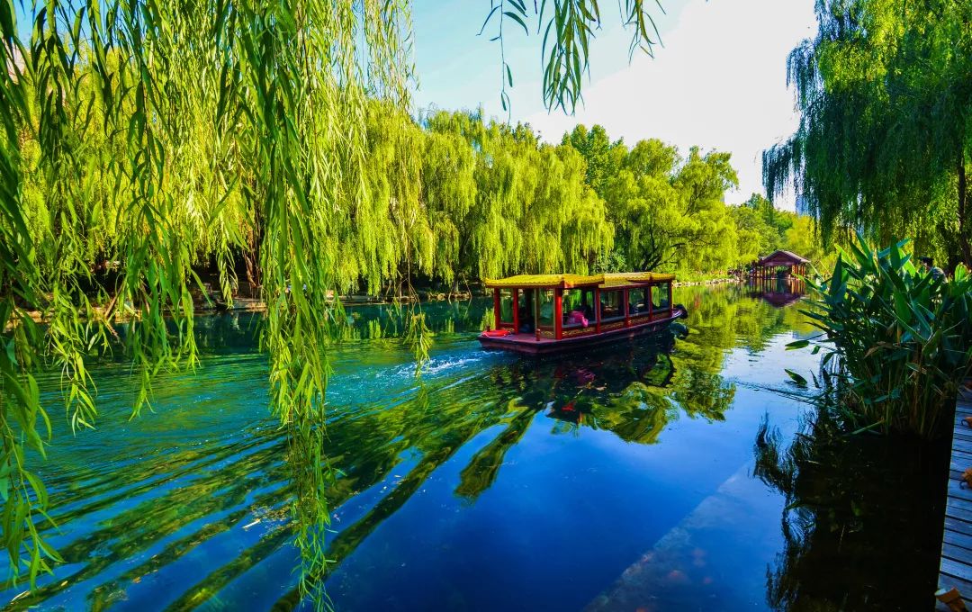高 生:泉 城 春 韵(图3)