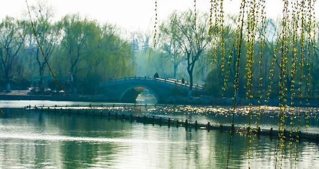 高 生:泉 城 春 韵(图5)