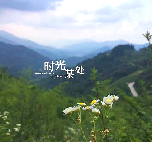 雨菡：此日风光谁不共