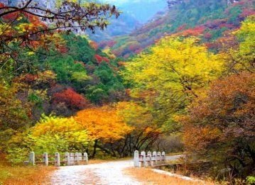 高 生：济 南 八 景