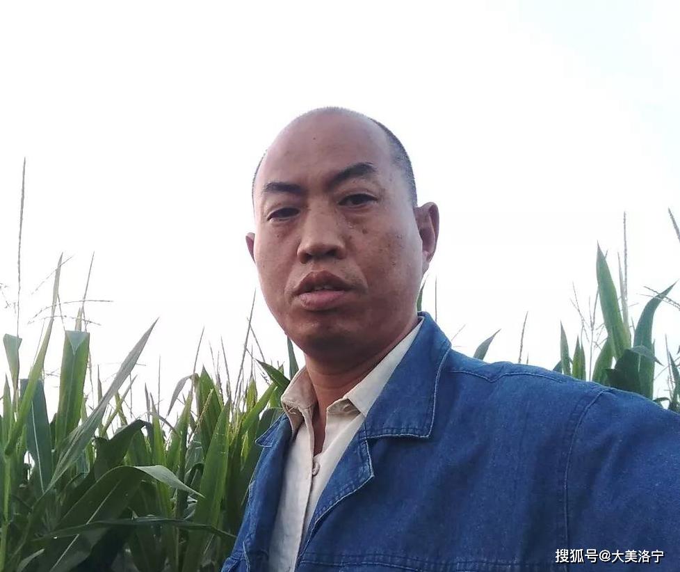洛宁张红歌——大乡望韩公歌九暨德配关太君懿行碑(图2)
