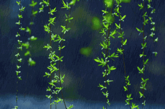 1585919886989091452.gif timg (1).gif