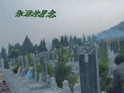 1585920430838025494.jpg u=2290782811,1381049562&fm=16&gp=0.jpg