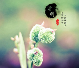 张荣才:翻卷梨花看大雪 一一心香一瓣寄清明