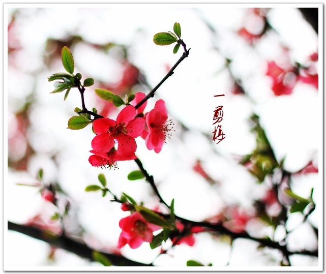义和庄主亲情诗词（图2）
