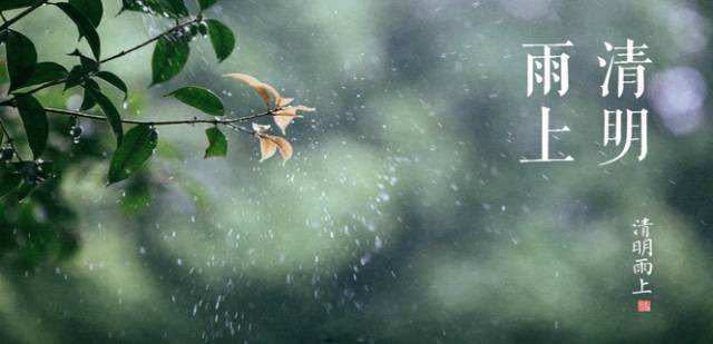 肖琼:清明雨上的花开花谢(图2)