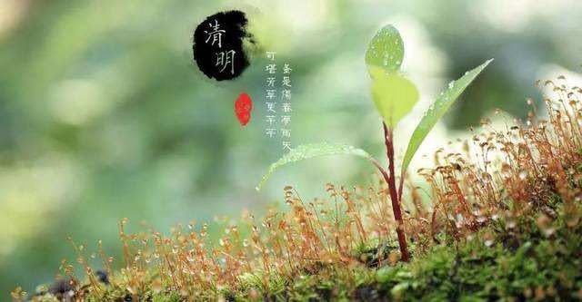 肖琼:清明雨上的花开花谢(图4)