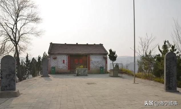 洛宁杨粉红——“龙头”四顾两茫茫(图4)