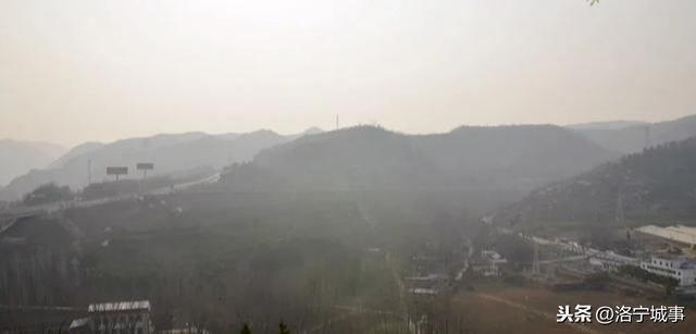 洛宁杨粉红——“龙头”四顾两茫茫(图10)