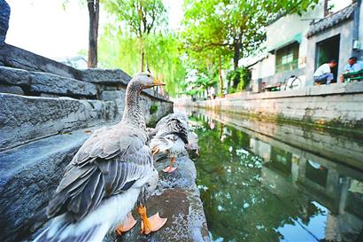 高 生：泉 城 景 色（图4）