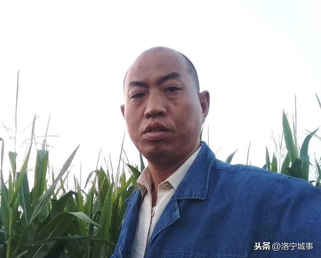 河南洛宁张红歌:重修钟楼及东禅堂碑记