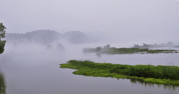1586679152981_鍓湰.png