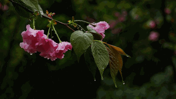 1586680444642_鍓湰.png